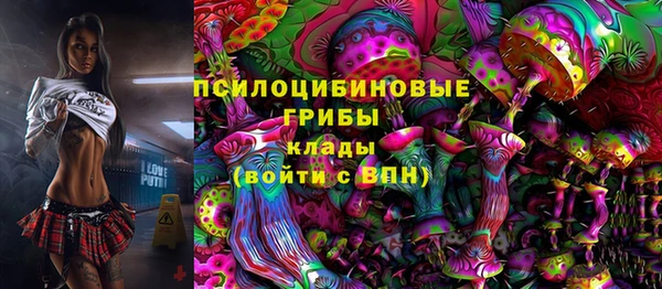шишки Алзамай