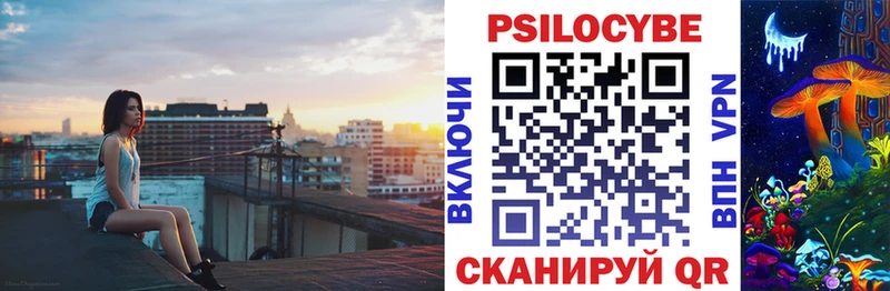 Галлюциногенные грибы Psilocybe  Щёлкино 