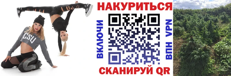 Каннабис VHQ  Щёлкино 
